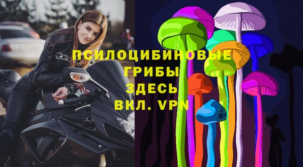 МДПВ Алексин